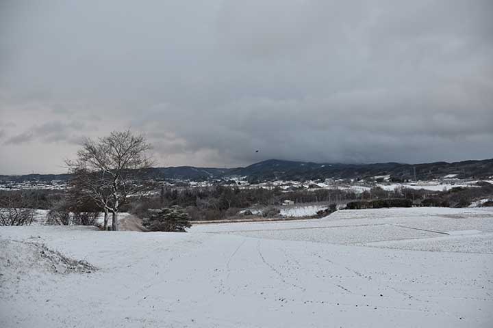 今日も早朝は雪