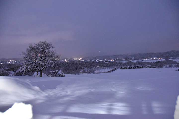 大雪の降った翌日