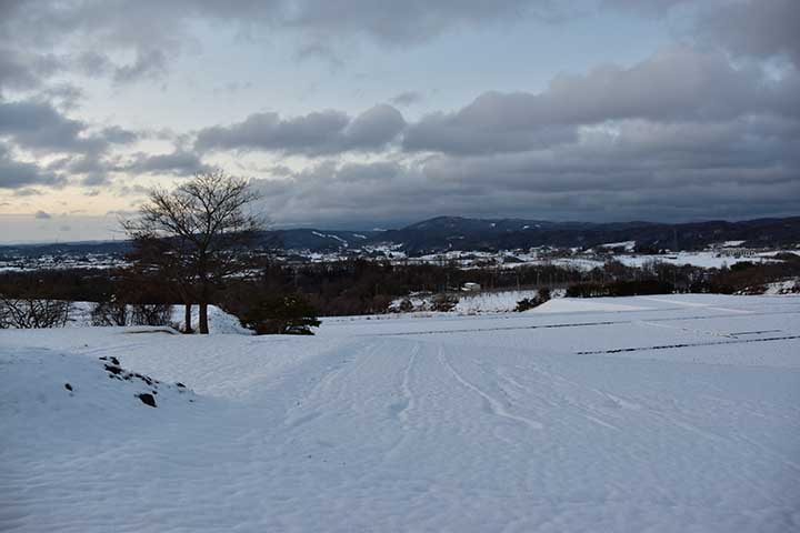 またしても雪