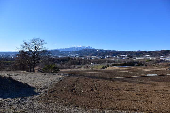 今日はお休み