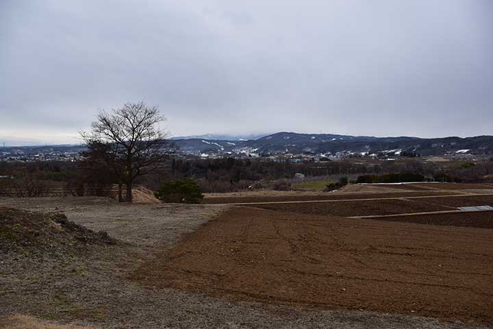 また雪