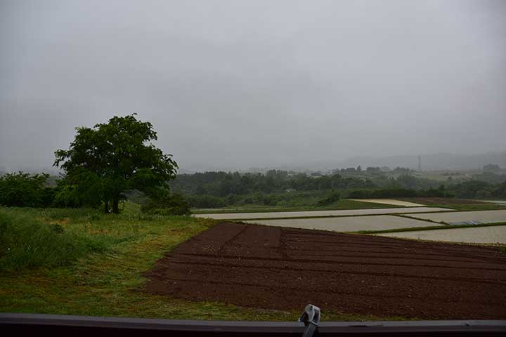 雨