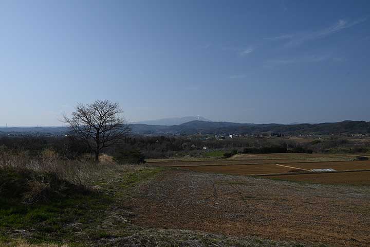 20250417_1.jpg 20250417_1.jpg