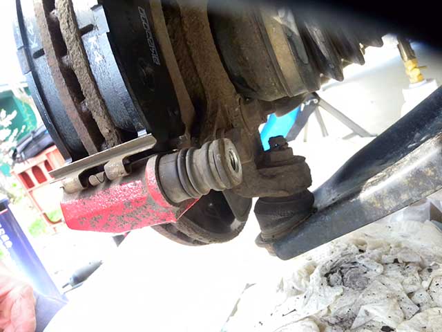 20250417_29.jpg 20250417_29.jpg