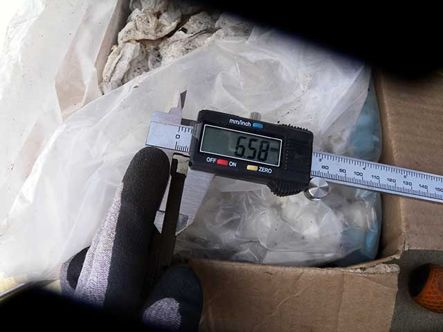 20250417_41.jpg 20250417_41.jpg