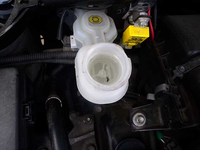 20250417_77.jpg 20250417_77.jpg