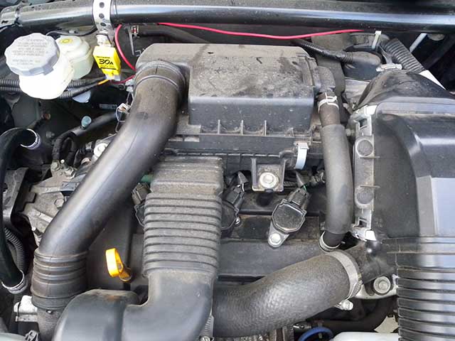 20250417_79.jpg 20250417_79.jpg