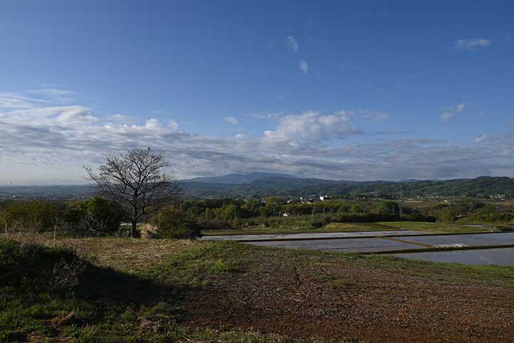 今日は仕事でいくらか気分が楽になった