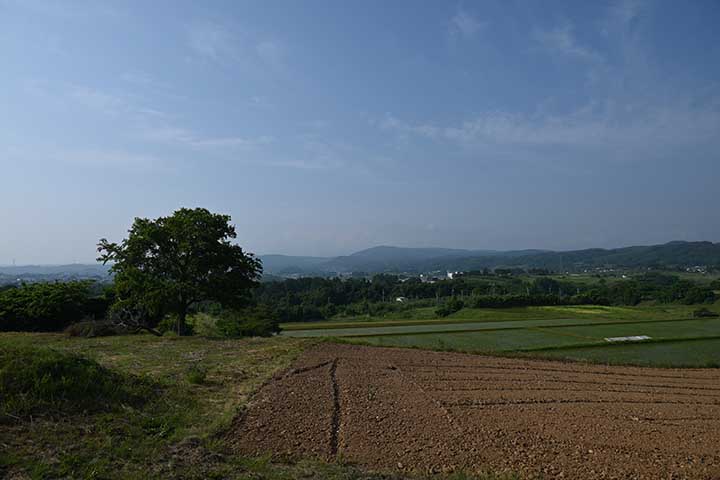 20250609_1.jpg 20250609_1.jpg