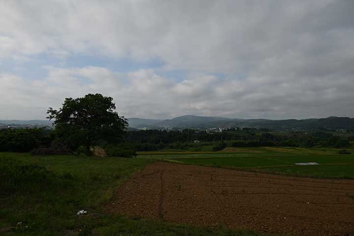 Temu景品到着