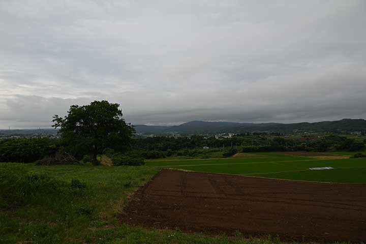 今日の雨はそれ程酷いことはなかった
