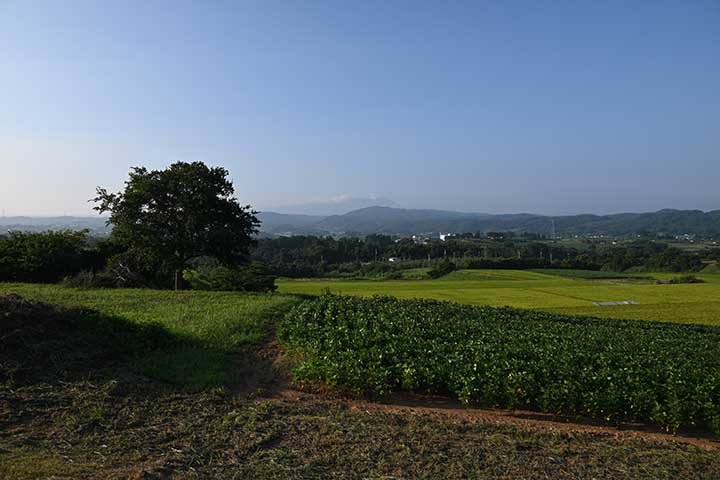 今宵は涼しい