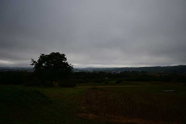 20251024_2.jpg 20251024_2.jpg