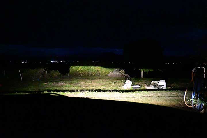 20251025_4.jpg 20251025_4.jpg