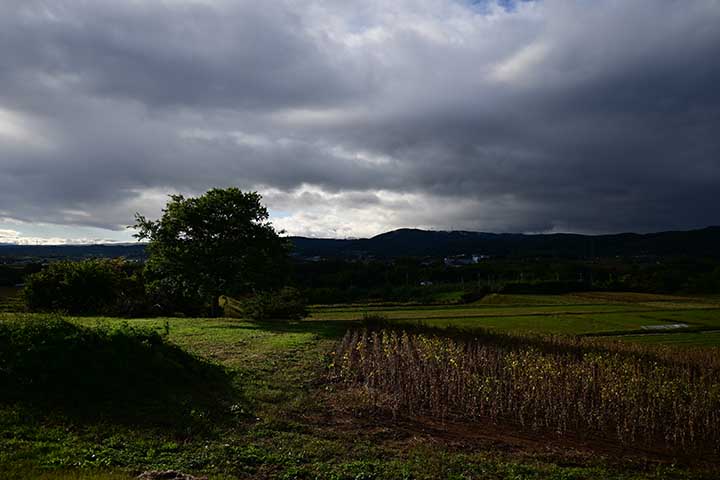 20251027_2.jpg 20251027_2.jpg