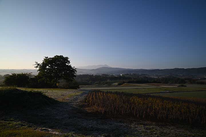 世間では年賀状発売日らしい