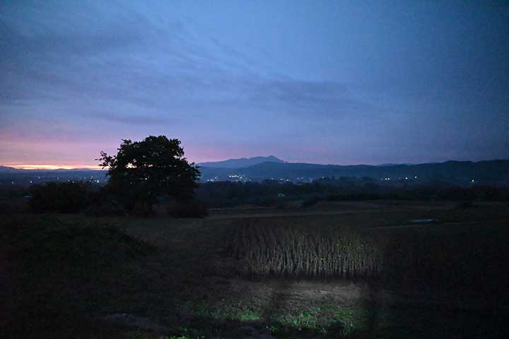 Amzon・Temu購入物到着