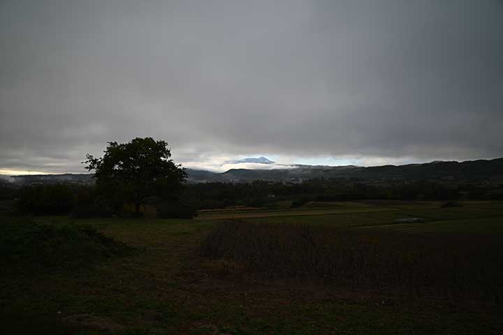 結局なにもしなかった 結局なにもしなかった