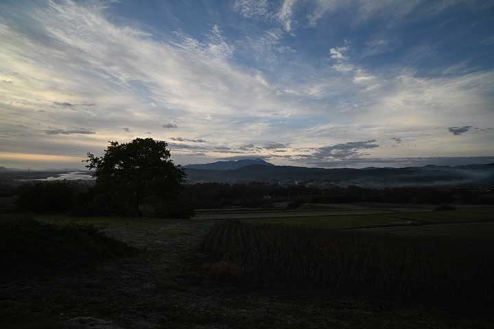 職場近くの紅葉&Temu購入物到着 職場近くの紅葉&Temu購入物到着
