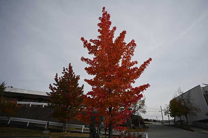 20251105_4.jpg 20251105_4.jpg