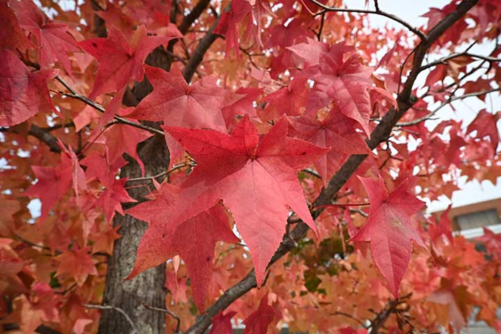 20251105_5.jpg 20251105_5.jpg