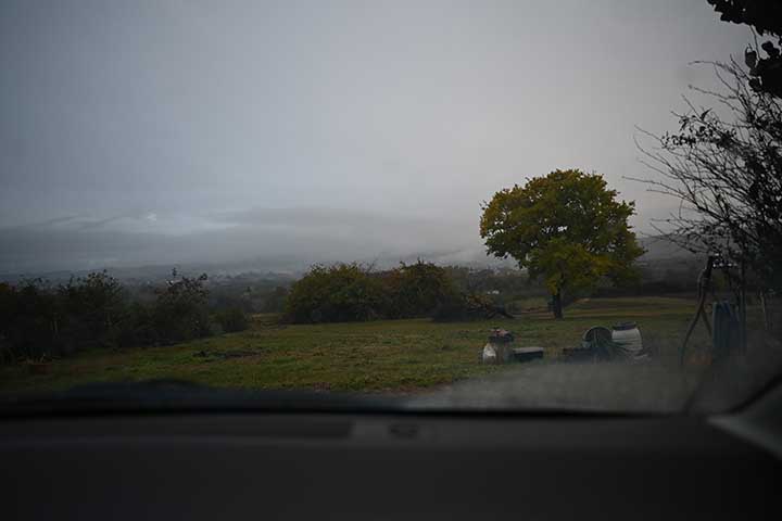 20251109_5.jpg 20251109_5.jpg