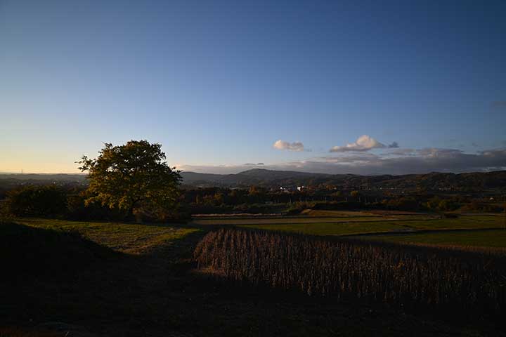 Amazon購入物到着