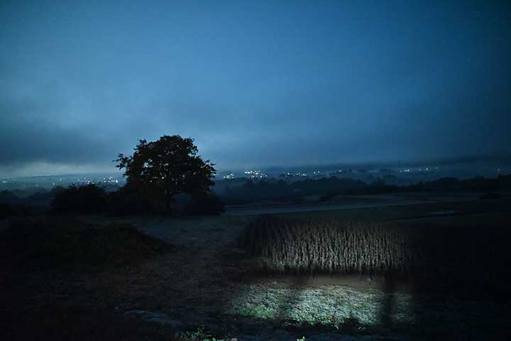 氷点下一歩手前