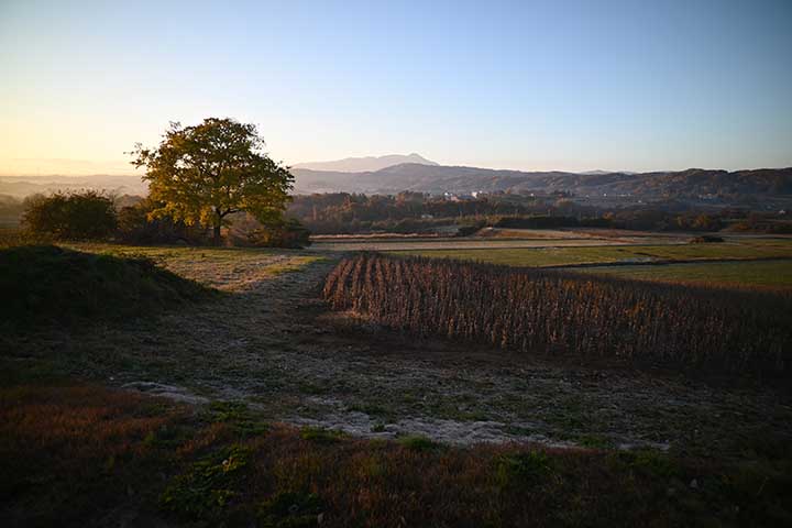 夜の景色は美しい