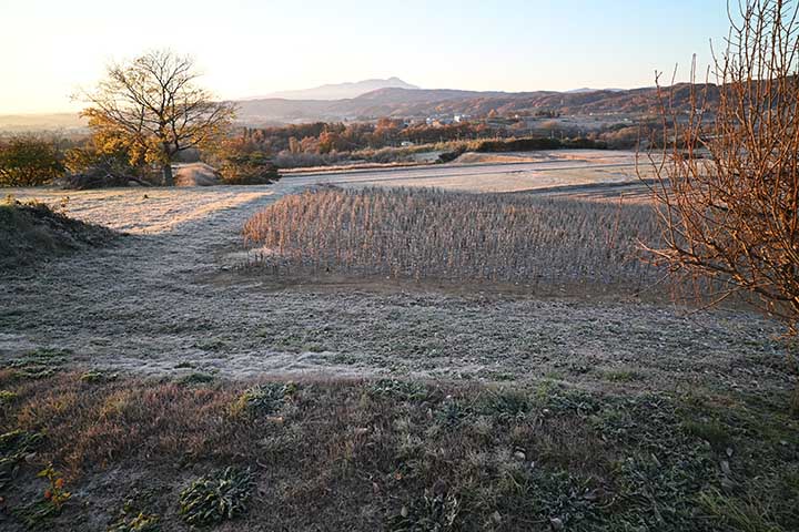 20251120_2.jpg 20251120_2.jpg