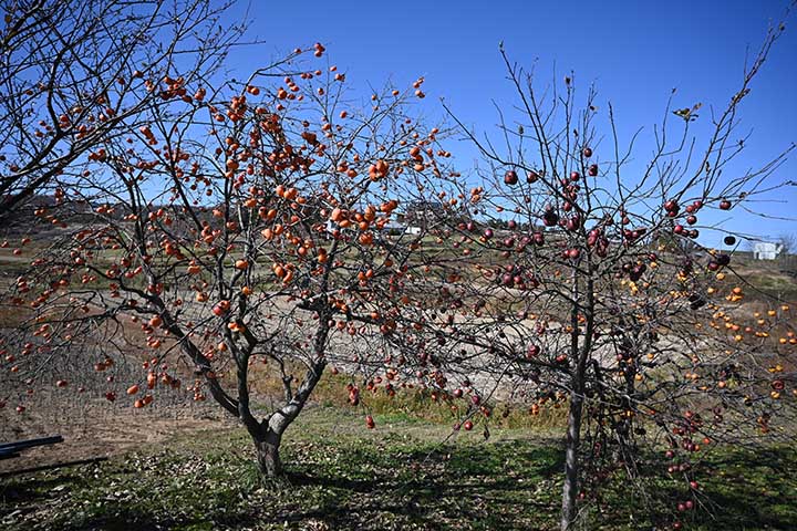 20251120_7.jpg 20251120_7.jpg