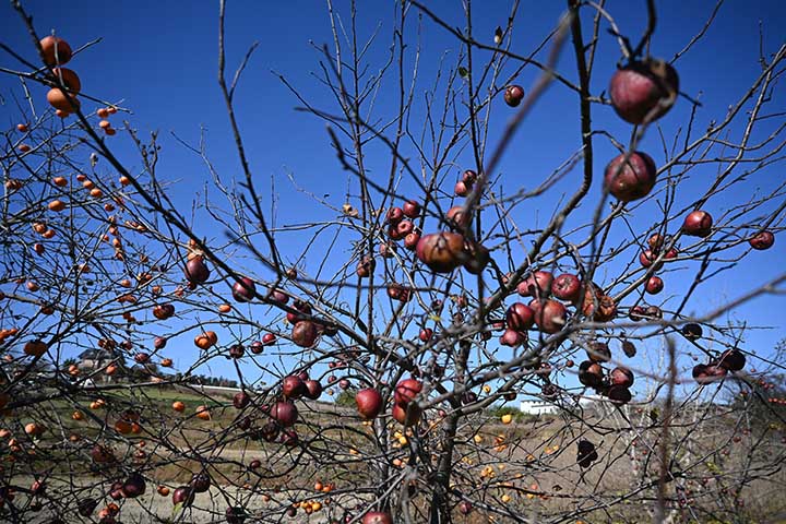 20251120_8.jpg 20251120_8.jpg