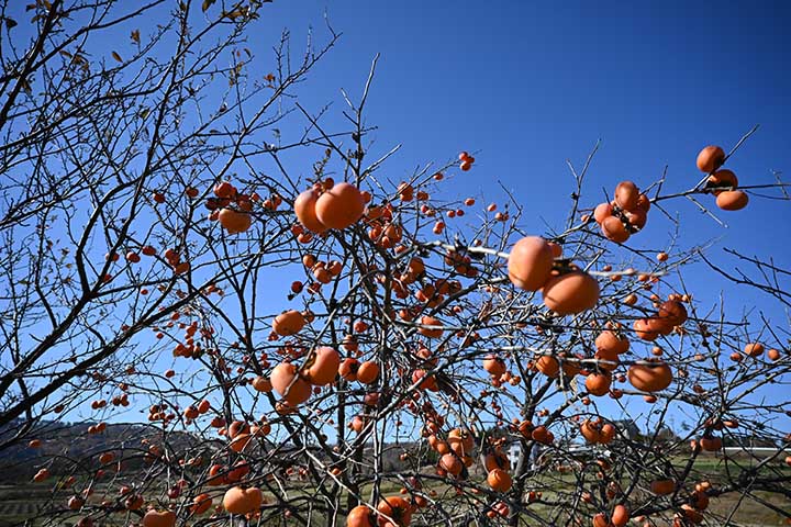 20251120_9.jpg 20251120_9.jpg