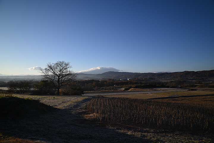 昨日届いたAmazon・Temu購入物