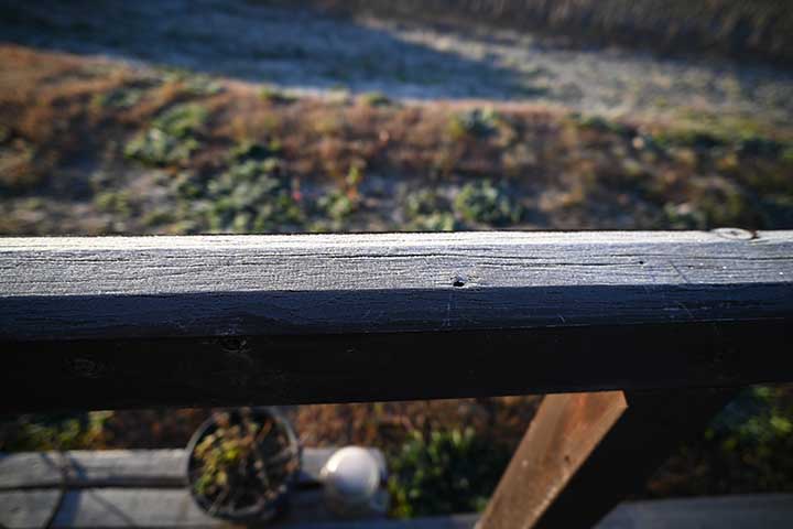 20251121_2.jpg 20251121_2.jpg