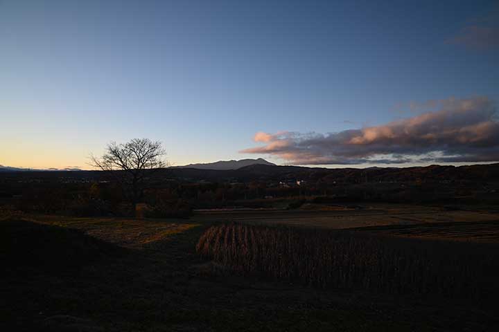 Amazon・Temu購入物到着