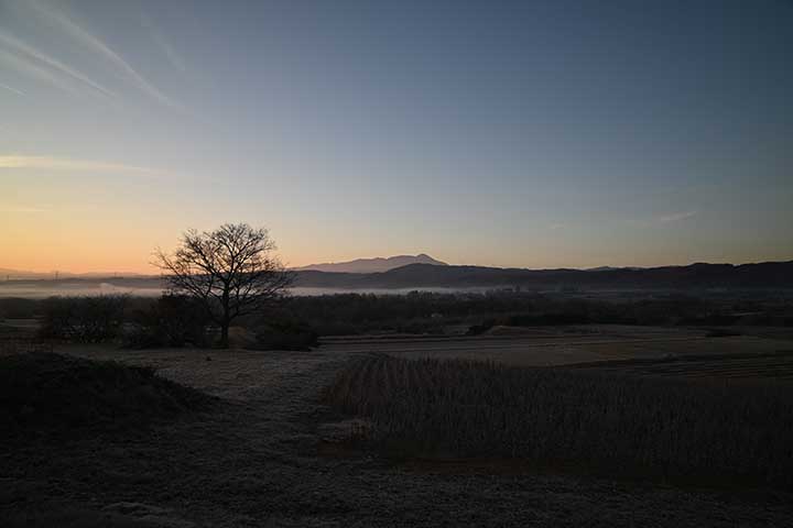 F1.4レンズ関係とTemu購入物到着(更新あり)