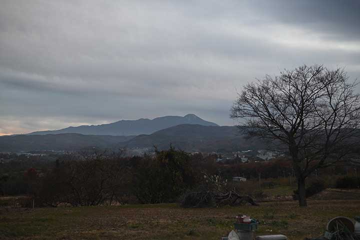 20251124_14.jpg 20251124_14.jpg