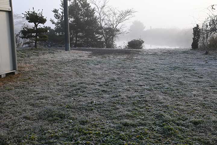 20251124_6.jpg 20251124_6.jpg