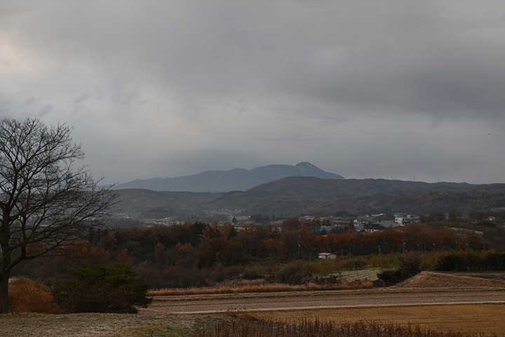 20251125_2.jpg 20251125_2.jpg