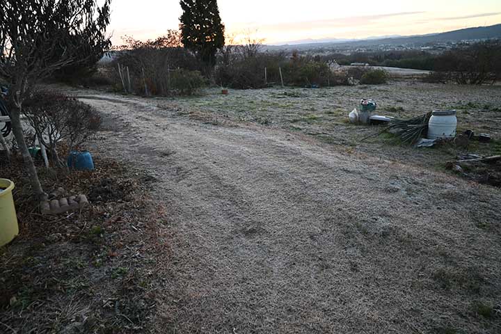 20251201_2.jpg 20251201_2.jpg