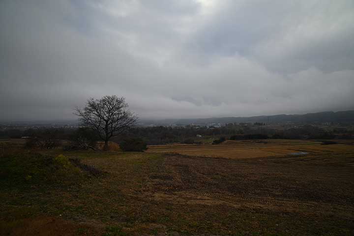 仕事休み、薬局で尿漏れパッド購入