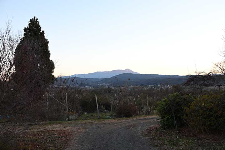 20251206_17.jpg 20251206_17.jpg