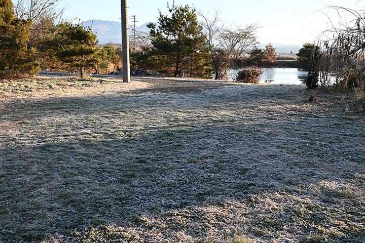 20251206_7.jpg 20251206_7.jpg