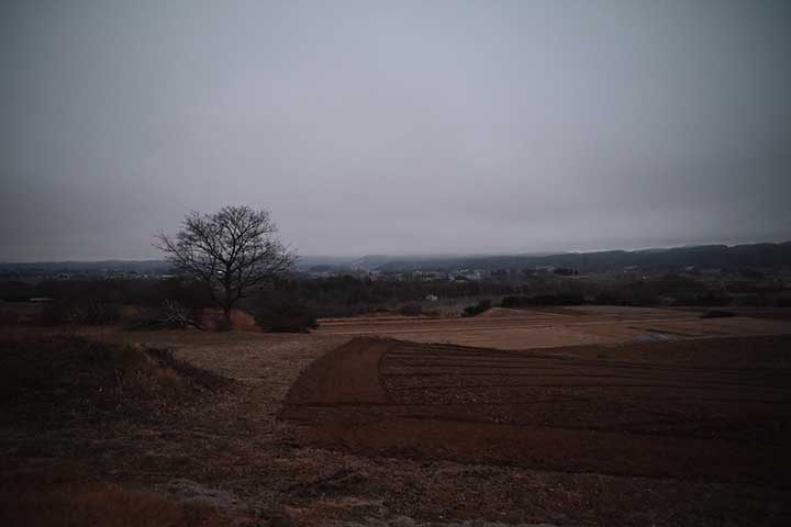 13日に届いていたのど飴開封 13日に届いていたのど飴開封