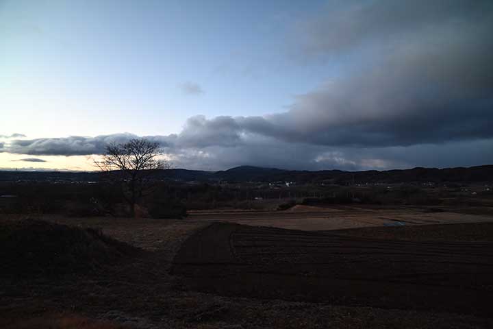 久しぶりに筋トレ