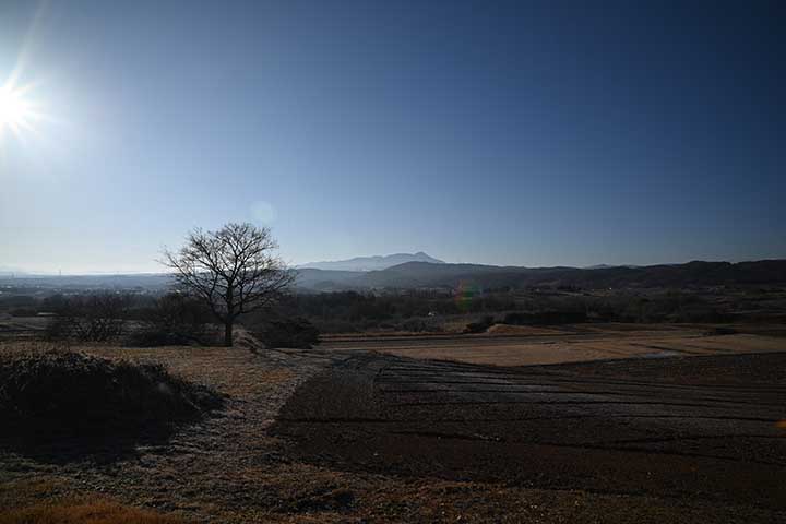 とうとう医者に行ってきた