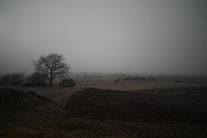 DBのバージョンのせいでした