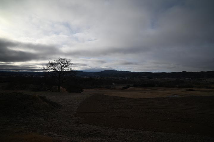 くぅー！駄目だったか！！