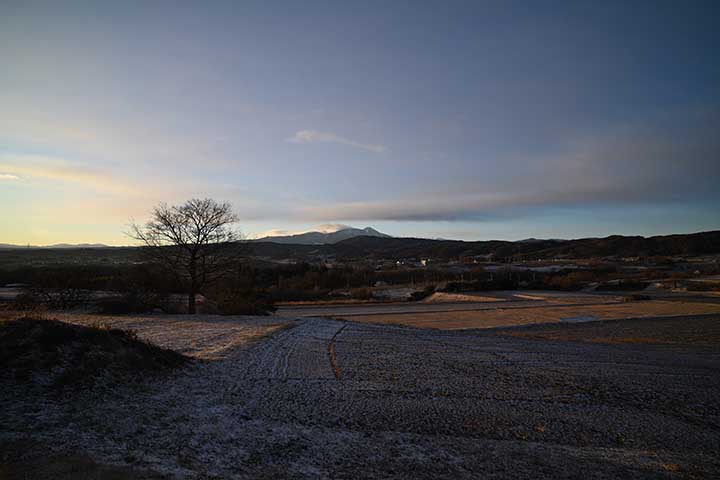 やっちまいました＆Temu購入物到着＆夜の準備